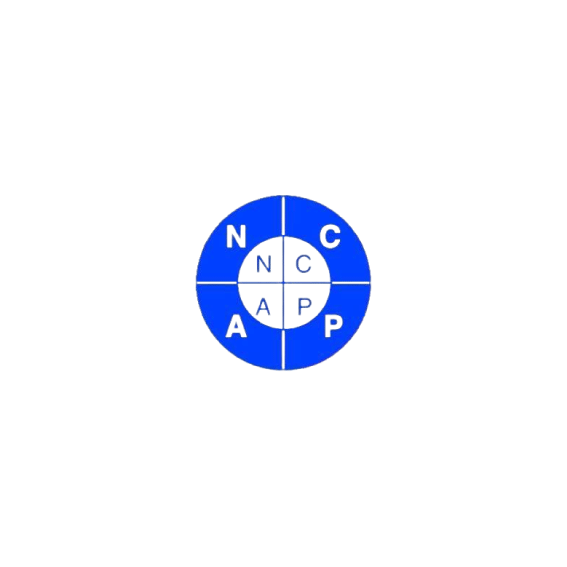 BDS_LOGO__1_-removebg-preview18